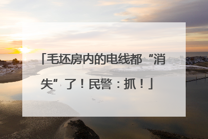 毛坯房内的电线都“消失”了！民警：抓！