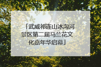 武威祁连山冰沟河景区第二届马兰花文化嘉年华启幕
