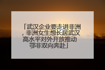 武汉企业要走进非洲，非洲女生想长居武汉 高水平对外开放推动鄂非双向奔赴