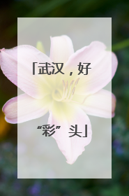武汉，好“彩”头