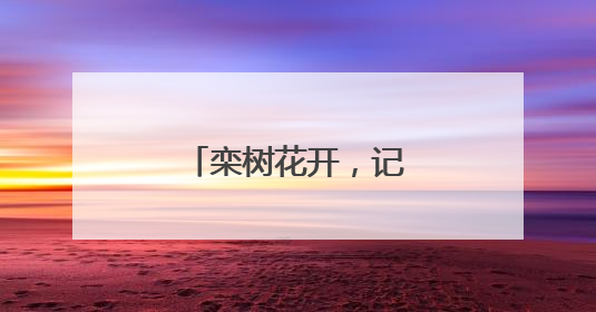 栾树花开，记录夏日浪漫