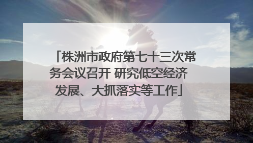 株洲市政府第七十三次常务会议召开 研究低空经济发展、大抓落实等工作