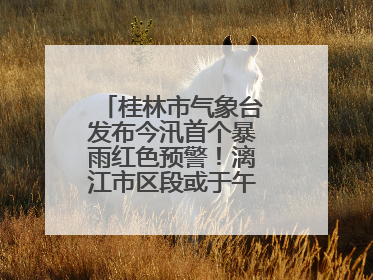 桂林市气象台发布今汛首个暴雨红色预警！漓江市区段或于午后迎来洪峰