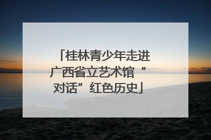 桂林青少年走进广西省立艺术馆“对话”红色历史