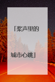 桨声里的城市心跳