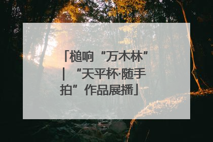 槌响“万木林”｜“天平杯·随手拍”作品展播