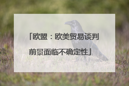 欧盟：欧美贸易谈判前景面临不确定性
