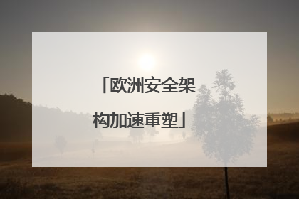 欧洲安全架构加速重塑