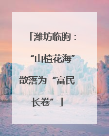 潍坊临朐：“山楂花海”散落为“富民长卷”