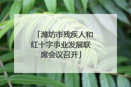 潍坊市残疾人和红十字事业发展联席会议召开