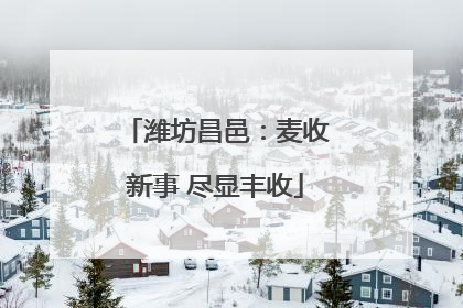 潍坊昌邑：麦收新事 尽显丰收