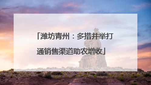 潍坊青州：多措并举打通销售渠道助农增收