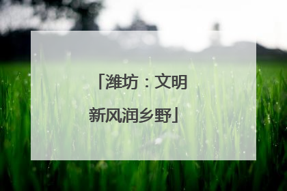 潍坊：文明新风润乡野