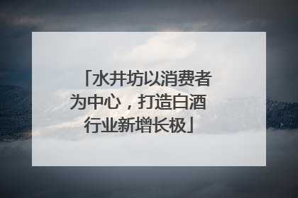 水井坊以消费者为中心，打造白酒行业新增长极