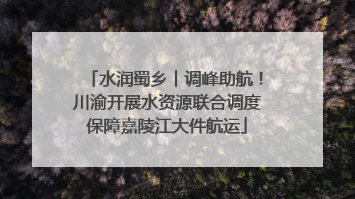 水润蜀乡丨调峰助航！川渝开展水资源联合调度保障嘉陵江大件航运