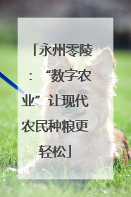 永州零陵：“数字农业”让现代农民种粮更轻松
