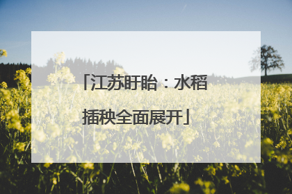 江苏盱眙：水稻插秧全面展开