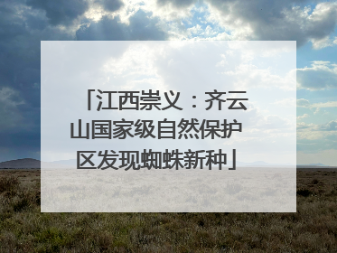 江西崇义：齐云山国家级自然保护区发现蜘蛛新种