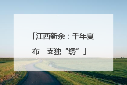 江西新余：千年夏布一支独“绣”