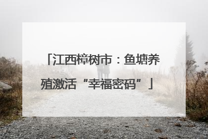 江西樟树市：鱼塘养殖激活“幸福密码”