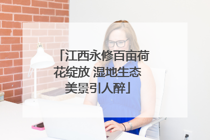 江西永修百亩荷花绽放 湿地生态美景引人醉