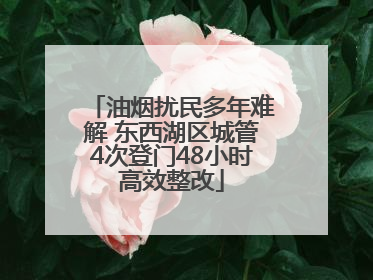 油烟扰民多年难解 东西湖区城管4次登门48小时高效整改