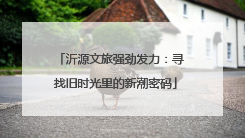 沂源文旅强劲发力：寻找旧时光里的新潮密码