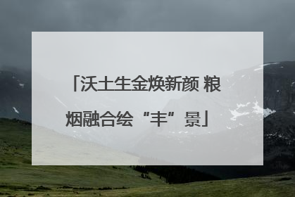 沃土生金焕新颜 粮烟融合绘“丰”景