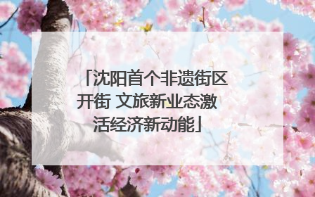 沈阳首个非遗街区开街 文旅新业态激活经济新动能