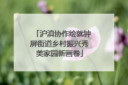 沪滇协作绘就钟屏街道乡村振兴秀美家园新画卷