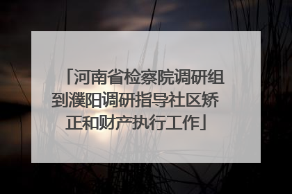 河南省检察院调研组到濮阳调研指导社区矫正和财产执行工作