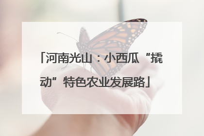 河南光山：小西瓜“撬动”特色农业发展路