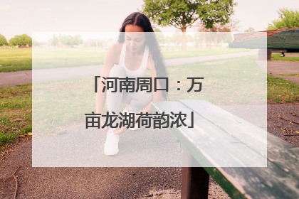 河南周口：万亩龙湖荷韵浓