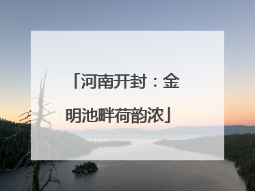 河南开封：金明池畔荷韵浓