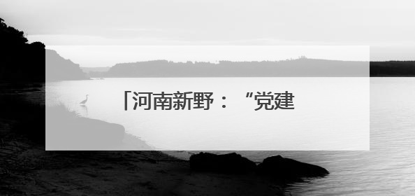 河南新野：“党建+支客+理事”引领文明乡风新风尚