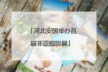 河北安国举办首届非遗摄影展