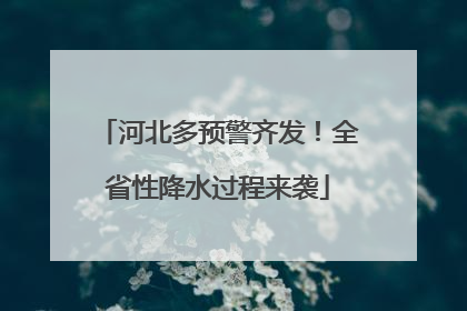 河北多预警齐发！全省性降水过程来袭