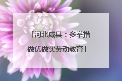河北威县：多举措做优做实劳动教育