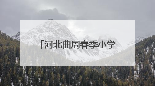 河北曲周春季小学生足球锦标赛开幕