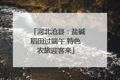 河北沧县：盐碱稻田过端午 特色农旅迎客来