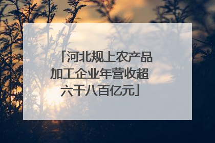 河北规上农产品加工企业年营收超六千八百亿元