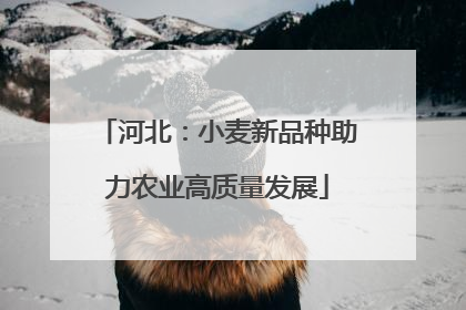 河北：小麦新品种助力农业高质量发展