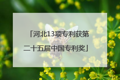 河北13项专利获第二十五届中国专利奖