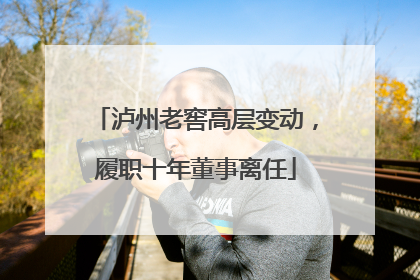 泸州老窖高层变动，履职十年董事离任
