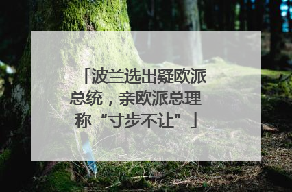 波兰选出疑欧派总统，亲欧派总理称“寸步不让”