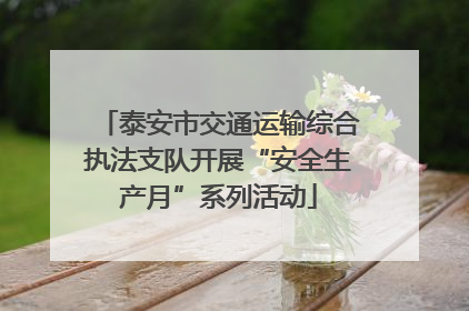 泰安市交通运输综合执法支队开展“安全生产月”系列活动