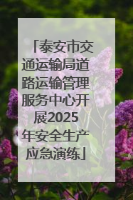 泰安市交通运输局道路运输管理服务中心开展2025年安全生产应急演练