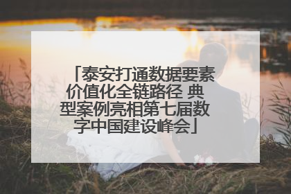 泰安打通数据要素价值化全链路径 典型案例亮相第七届数字中国建设峰会