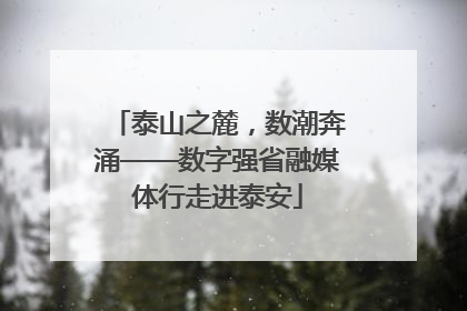 泰山之麓，数潮奔涌——数字强省融媒体行走进泰安