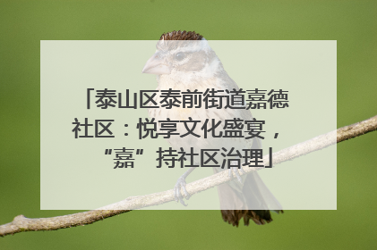 泰山区泰前街道嘉德社区：悦享文化盛宴，“嘉”持社区治理